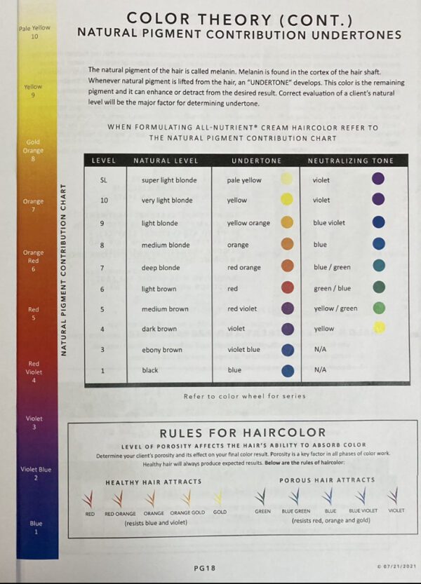 A chart showing the colors of hair color.